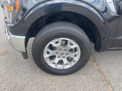 2023 Ford F-150 Base